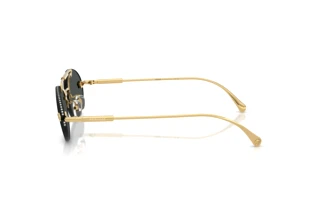 Side view Versace VE2295 (100287)