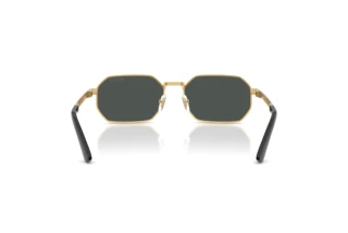 Rear view Versace VE2297 (100287)
