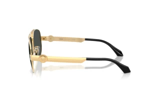 Side view Versace VE2302 (152387)