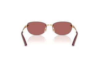 Rear view Versace VE2307 (152369)