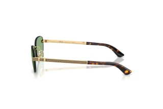 Side view Versace VE2307 (152382)
