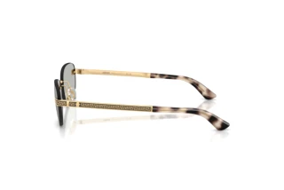 Side view Versace VE2307 (15238V)