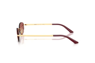 Side view Versace VE2308D (152369)