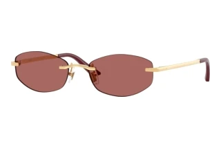 Front view Versace VE2308D (152369)