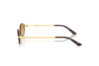 Side view Versace VE2308D (152373)