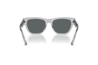 Rear view Versace VE4457 (543287)