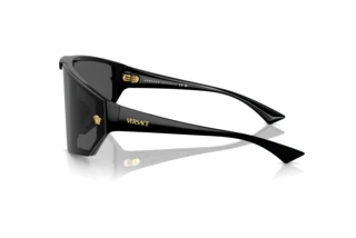 Side view Versace VE4461 (GB1/87)