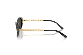 Side view Versace VE4469 (547087)