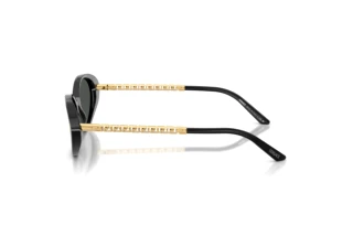Side view Versace VE4469 (GB1/87)