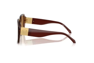 Side view Versace VE4472D (5028/O)