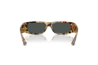 Rear view Versace VE4476U (777/87)
