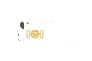 Side view Versace VE4480U (314/87)