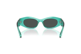 Rear view Versace VE4480U (552987)