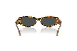 Rear view Versace VE4487 (777/87)