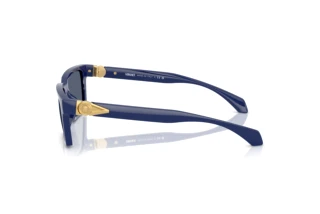 Side view Versace VE4490U (545087)