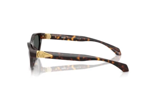 Side view Versace VE4491U (108/87)