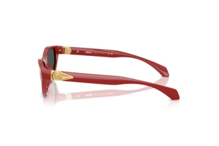 Side view Versace VE4491U (538887)