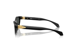 Side view Versace VE4491U (GB1/87)