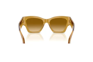 Rear view Versace VE4492U (53472L)