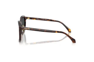 Side view Versace VE4493D (108/87)