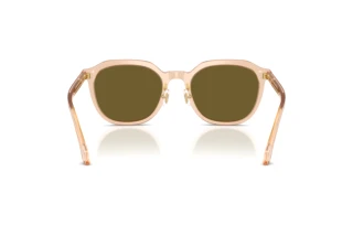 Rear view Versace VE4493D (551883)
