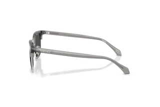 Side view Versace VE4494D (593/87)