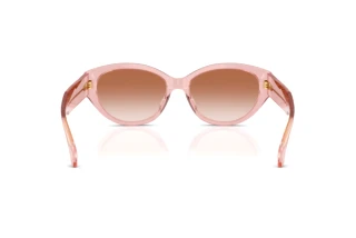 Rear view Versace VE4495D (543413)