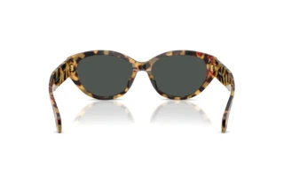 Rear view Versace VE4495D (777/87)
