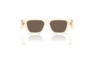 Rear view Versace VE4497U (314/73)