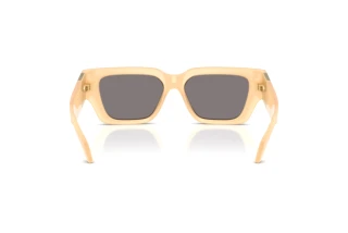 Rear view Versace VE4497U (554473)