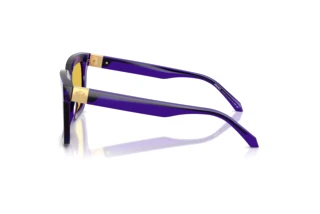 Side view Versace VE4498 (554585)
