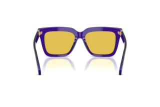 Rear view Versace VE4498 (554585)
