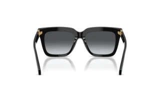 Rear view Versace VE4498 (GB1/T3)