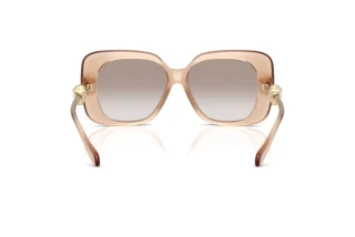 Rear view Versace VE4499U (55386E)