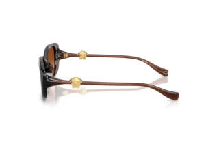 Side view Versace VE4504D (533213)