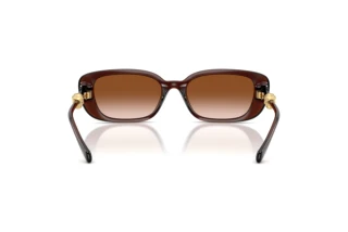 Rear view Versace VE4504D (533213)