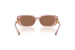 Rear view Versace VE4504D (553573)