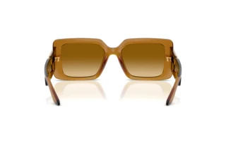 Rear view Versace VE4505U (53422L)