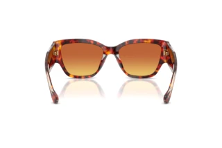 Rear view Versace VE4509U (5543T5)