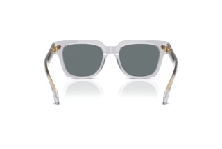 Rear view Versace VE4510U (530580)