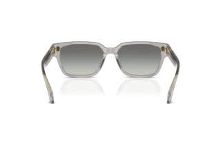 Rear view Versace VE4513D (593/11)