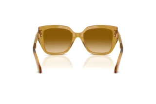 Rear view Versace VE4517U (53472L)