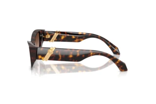 Side view Versace VE4520U (108/13)