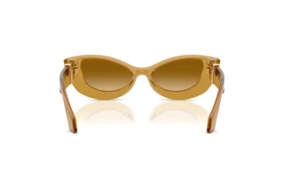 Rear view Versace VE4520U (53472L)