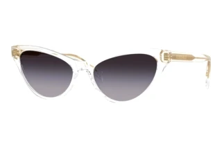 Front view Versace VE4522U (148/8G)