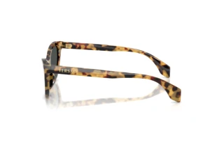 Side view Versace VE4522U (777/87)