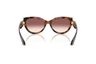Rear view Versace VE4524U (526420)