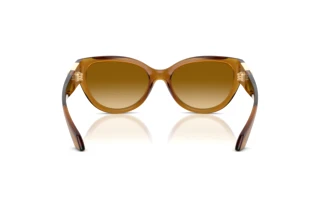 Rear view Versace VE4524U (53472L)