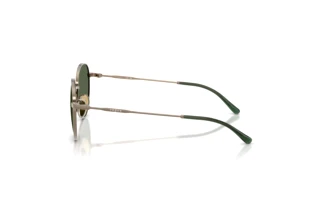 Side view Vogue Eyewear VJ1002 (513871)