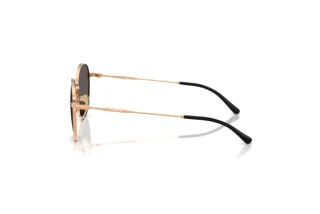 Side view Vogue Eyewear VJ1002 (515287)